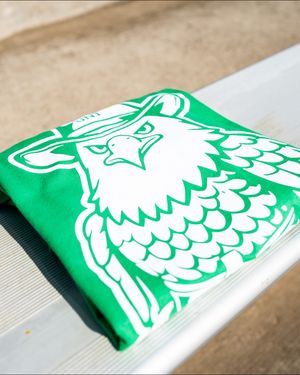 Image post by @meangreenfb on Instagram