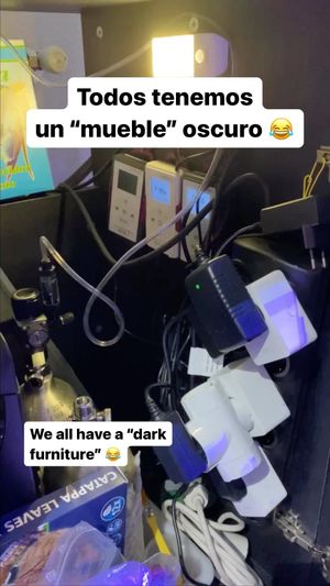 Video post by @aqualupi on Instagram