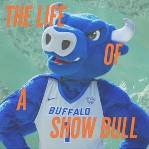 Image post by @ubintramurals on Instagram