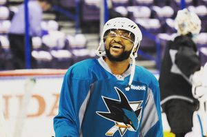Image post by @sanjosesharks on Instagram