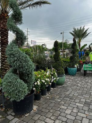 Image post by @RoyalMagnoliaLandscaping on Facebook