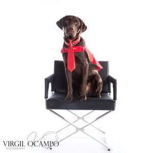 Image post by @capspup on Instagram