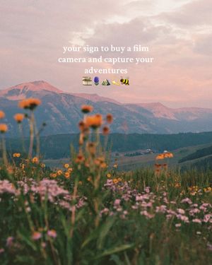Video post by @filmbychloeg on TikTok