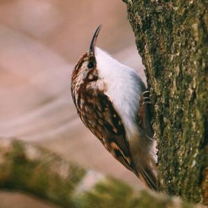 Image post by @rspb on Instagram