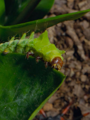 Video post by @natgeotv on TikTok