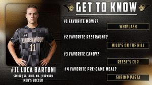 Image post by @lindenwood_lions on Instagram