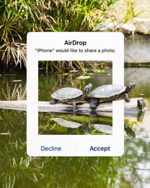 Image post by @UTAustin on Twitter