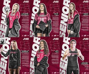 Image post by @Josh_Mindemann on Twitter