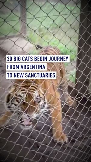 Video post by @cgtneurope on Instagram