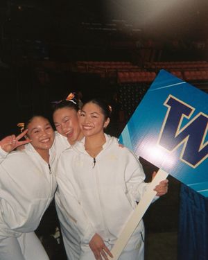 Image post by @uwgymnastics on Instagram