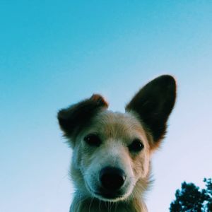Image post by @jordanranease on Instagram