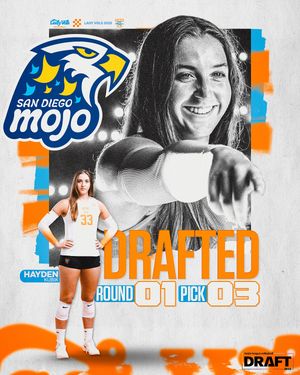 Image post by @vol_vball on Instagram