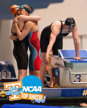 Image post by @vol_swimdive on Instagram