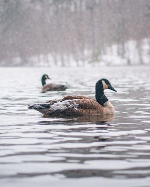 Image post by @jbyrne_photography on Instagram