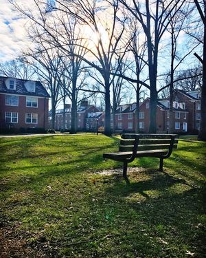 Image post by @ohio.university on Instagram