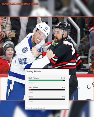 Image post by @hockeyfights on Instagram