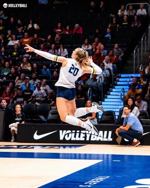 Image post by @ncaavolleyball on Instagram