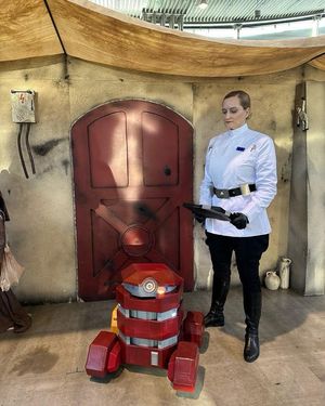 Image post by @official501st on Instagram