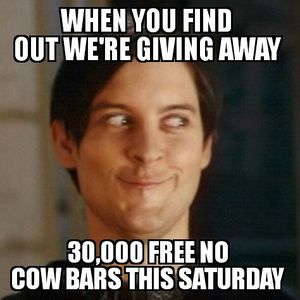 Image post by @nocow on Instagram