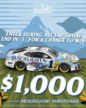 Image post by @BuschBeer on Twitter