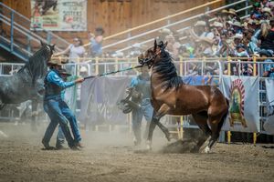 Image post by @sistersrodeo on Instagram