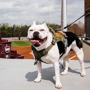 Image post by @hailstatesb on Instagram