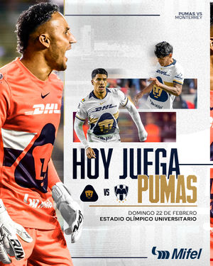 Image post by @pumasmx on Instagram