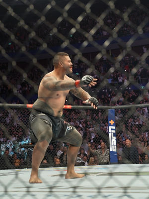 Video post by @ufc on TikTok