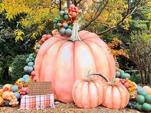 Image post by @balloonoccasions on Instagram