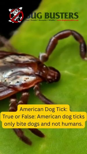 Video post by @bugbustersusa on TikTok