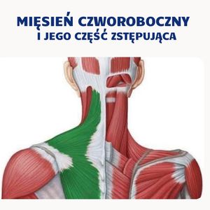 Image post by @neurochirurg_litak on Instagram