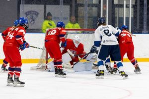Image post by @leijonatfi on Instagram