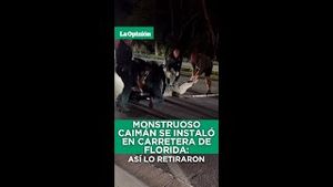 Video post by @laopinionla on YouTube