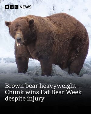 Image post by @bbcnews on Instagram