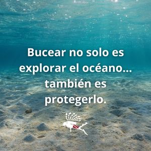 Image post by @lionfishscuba on Instagram