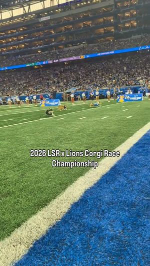 Video post by @littlestumpsracing1 on Facebook