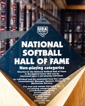 Image post by @usasoftball on Instagram