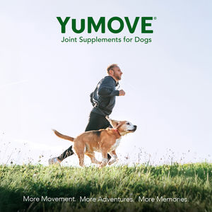 Image post by @yumove_usa on Instagram