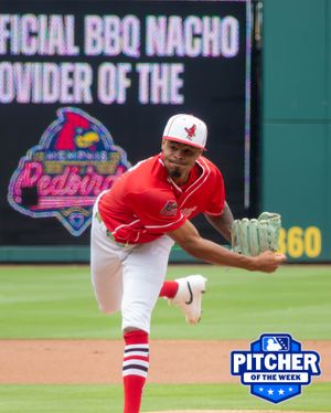 Image post by @memphisredbirds on Instagram
