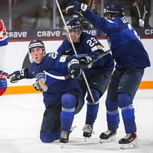 Image post by @leijonatfi on Instagram