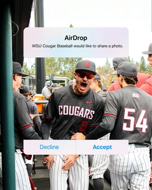 Image post by @wsucougarathletics on Instagram