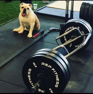 Image post by @repfitnessequipment on Instagram