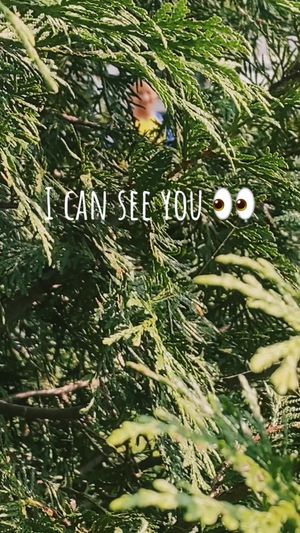 Video post by @thepuigfamily on TikTok