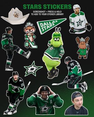 Image post by @dallasstars on Instagram