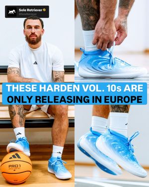 Image post by @soleretriever on Instagram
