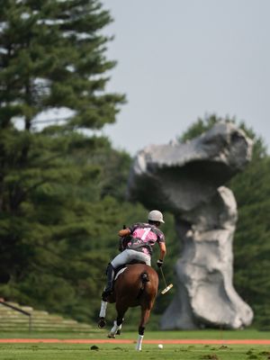 Image post by @greenwichpoloclub on Instagram