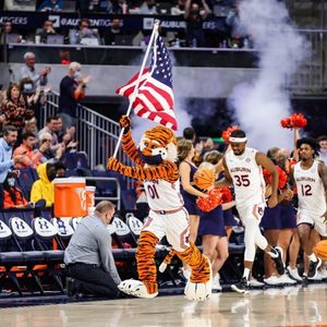 Image post by @aubiethetiger01 on Instagram