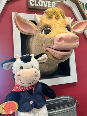 Image post by @stewleonards on Instagram