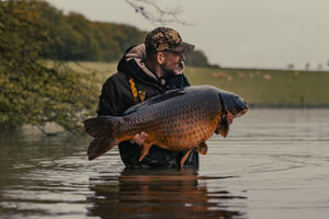 Image post by @brothercarp on Instagram