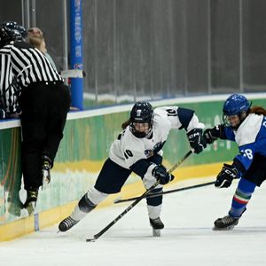 Image post by @leijonatfi on Instagram